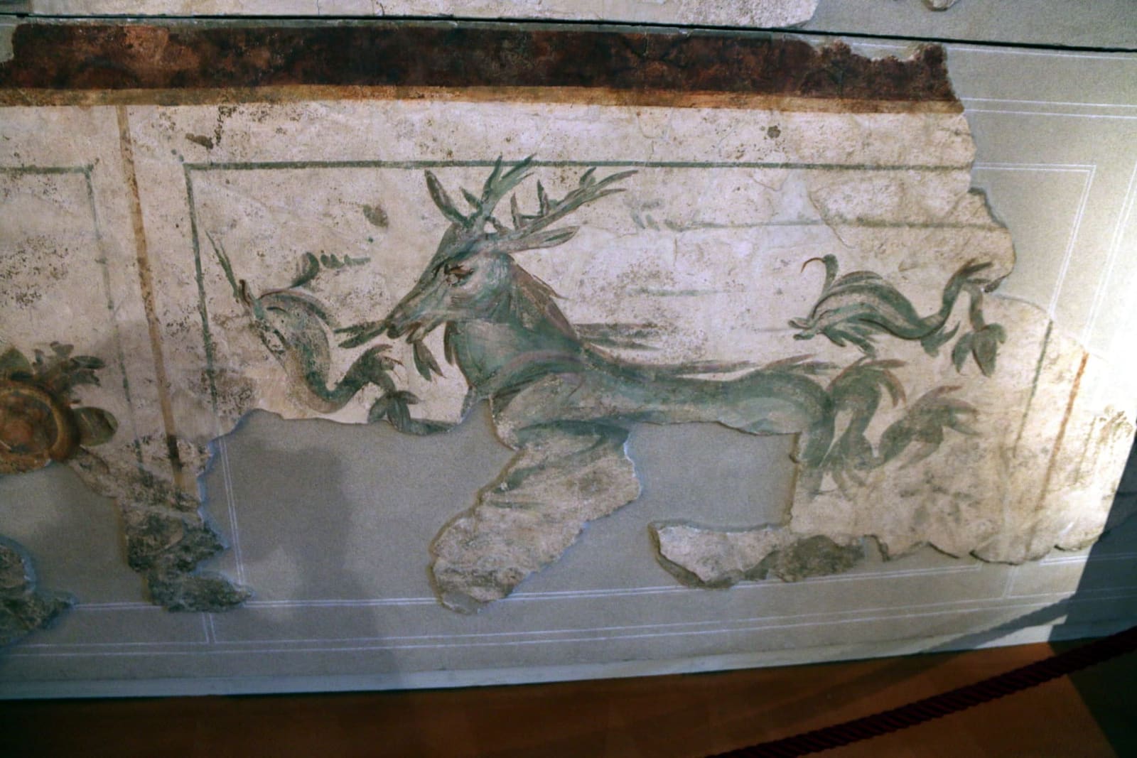 un cervo marino dipinto su un intonaco romano del primo secolo, dalla domus di via Acqui, al Museo Eusebio