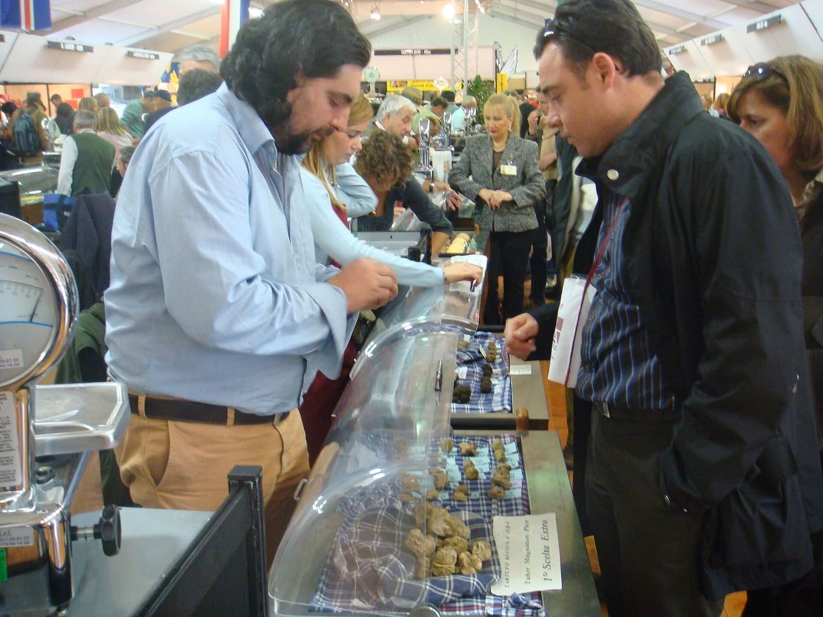 un banco del Mercato Mondiale del Tartufo Bianco, con i tartufi sotto la campana di vetro