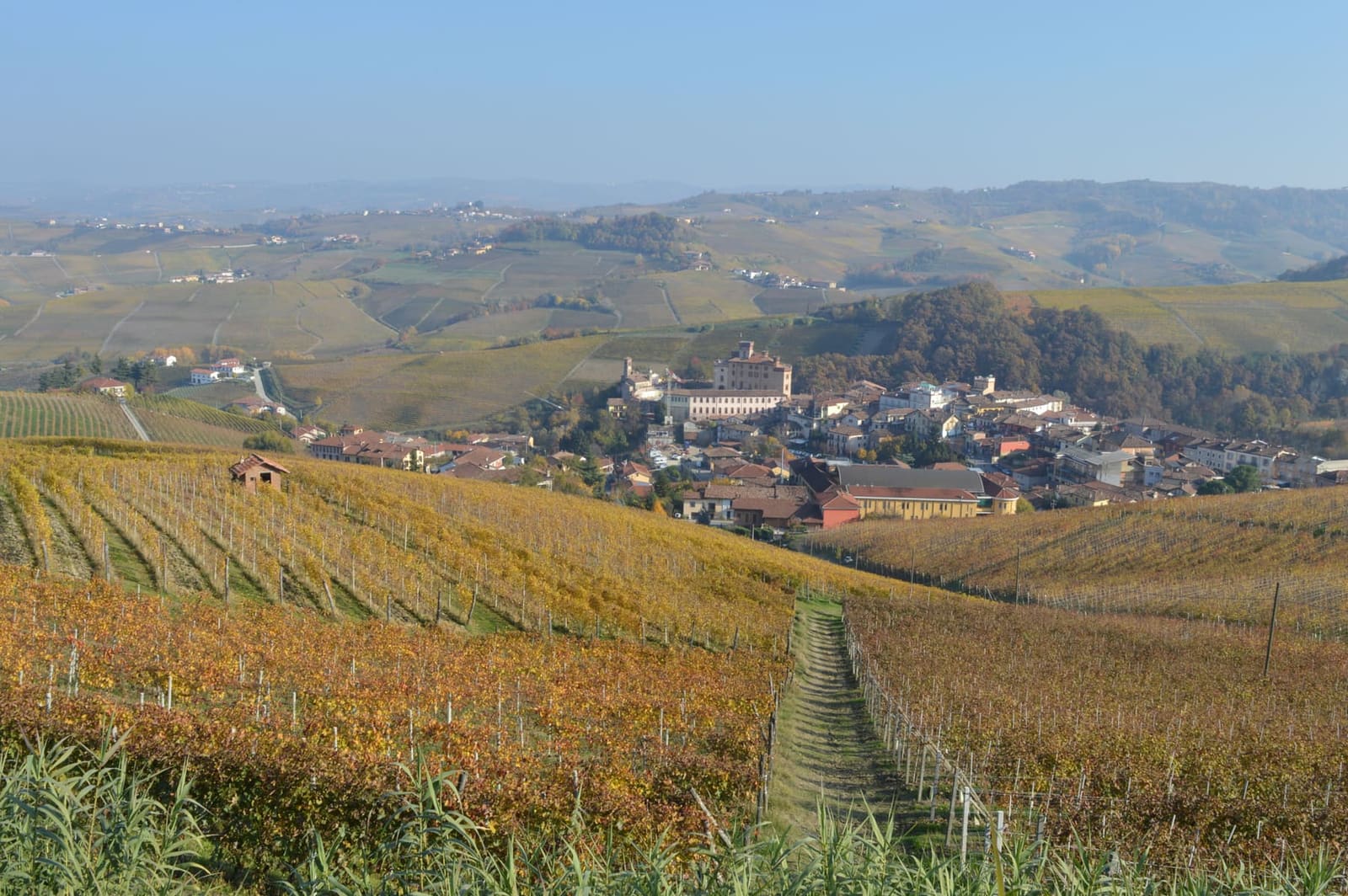 le vigne gialle d'autunno che scendono verso il paese, con il castello in mezzo alle case
