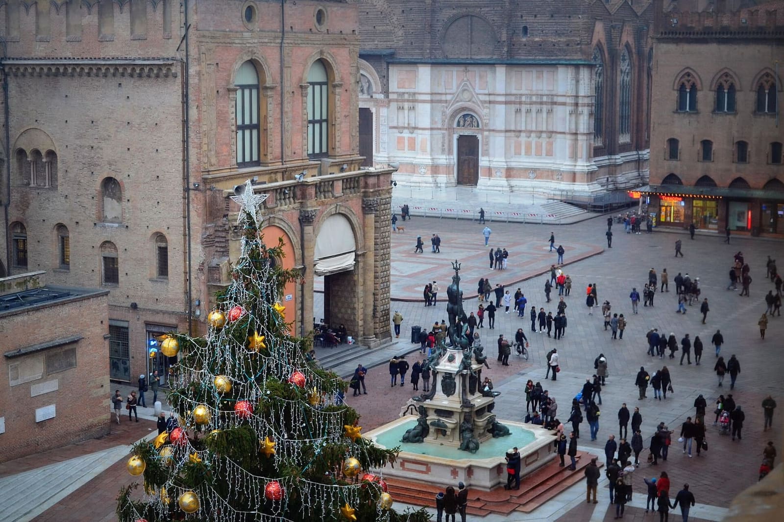 der Weihnachtsbaum neben dem Neptunbrunnen, mit der Fassade von San Petronio im Hintergrund