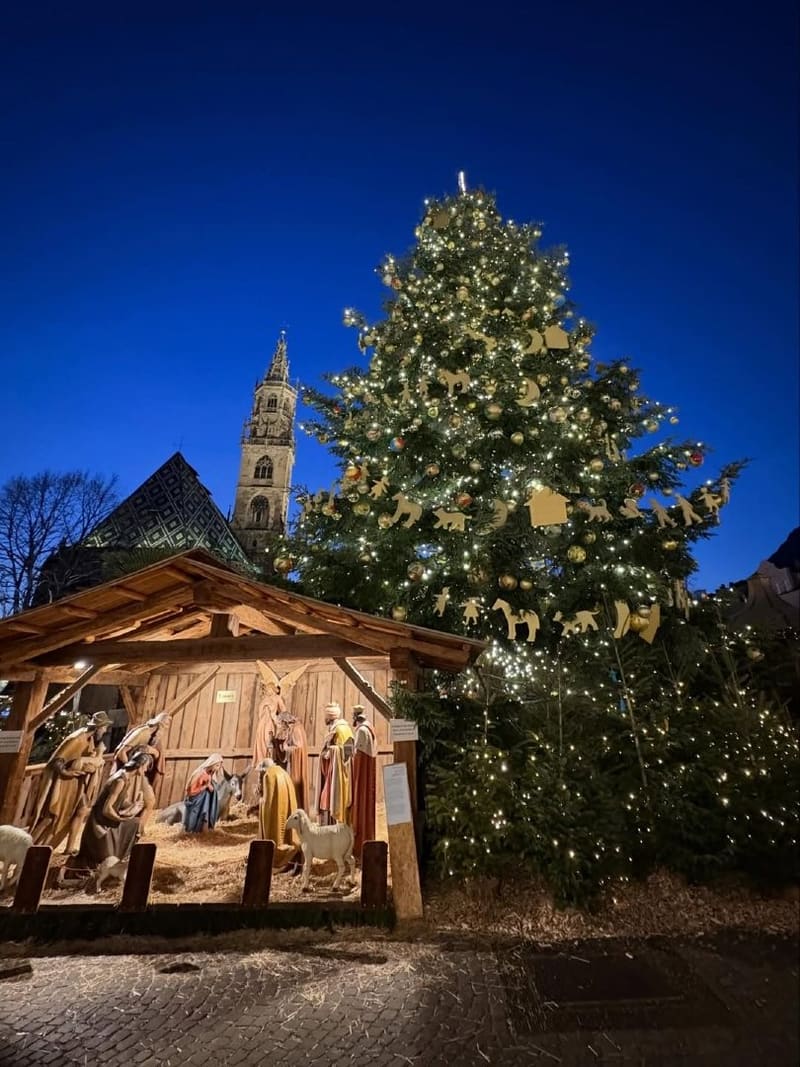 il presepe di legno a grandezza naturale e l'albero illuminato, con il campanile del Duomo alle spalle