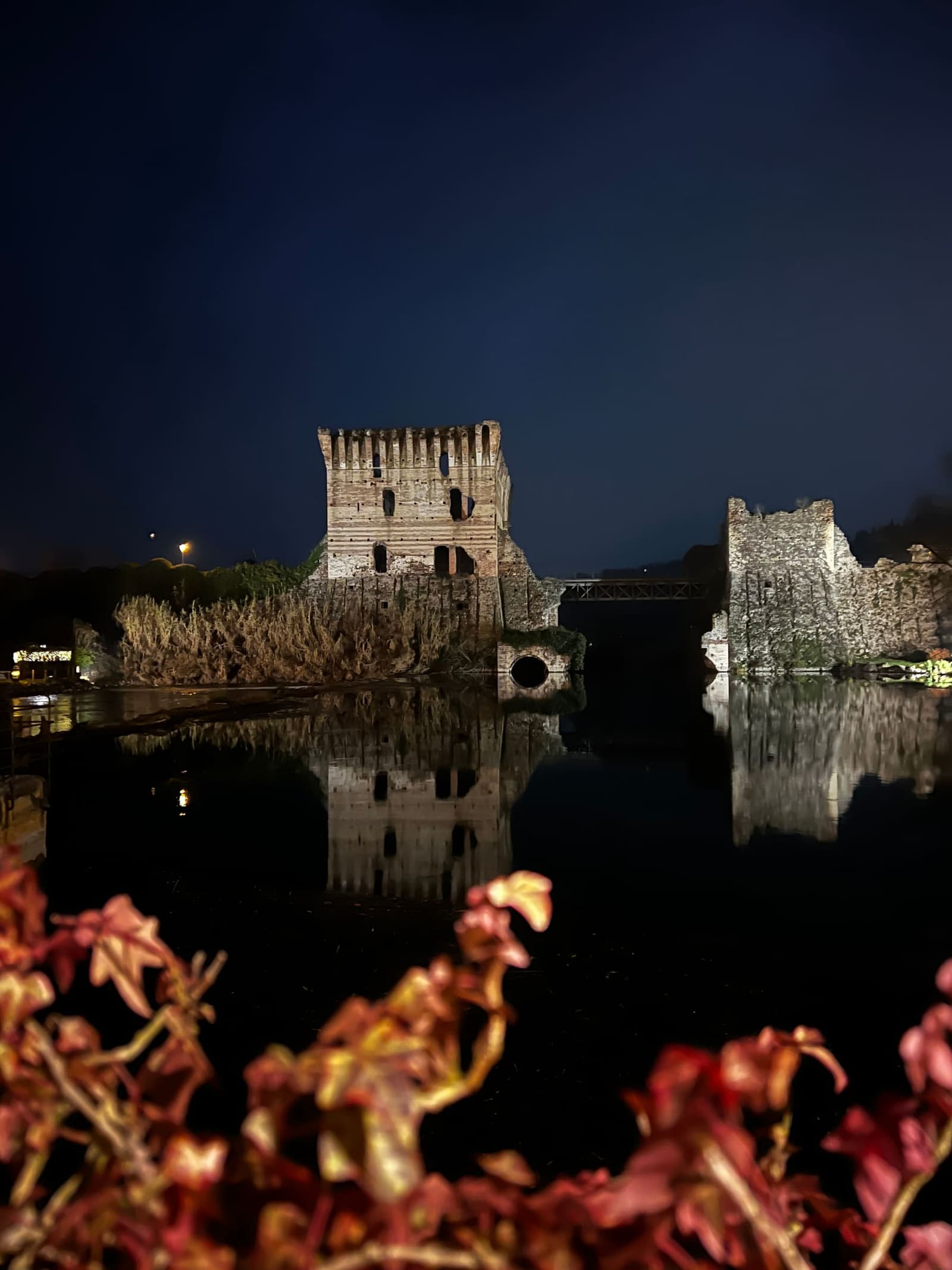 la torre del Ponte Visconteo riflessa nell'acqua ferma, dietro l'edera rossa della riva
