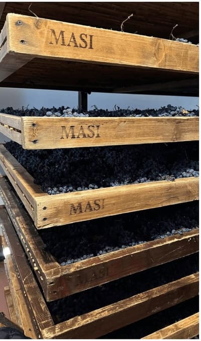 le cassette di legno marchiate MASI impilate nel fruttaio, con le uve già scure