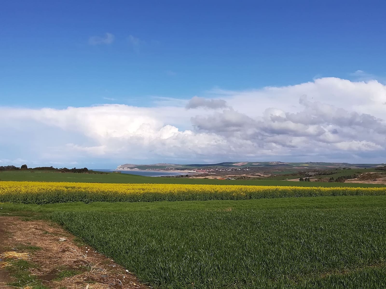 Cap Blanc-Nez and the long beach of Wissant beyond the fields, seen from Audinghen