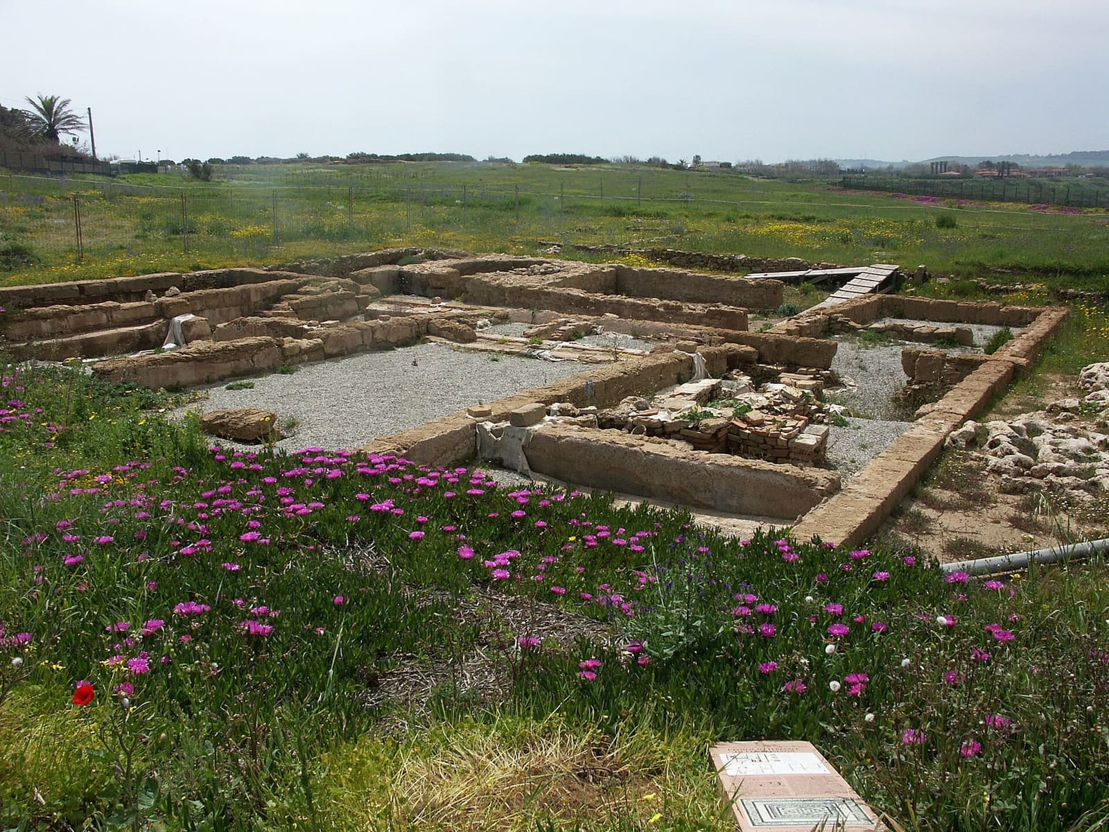 les vestiges des édifices du sanctuaire parmi les fleurs