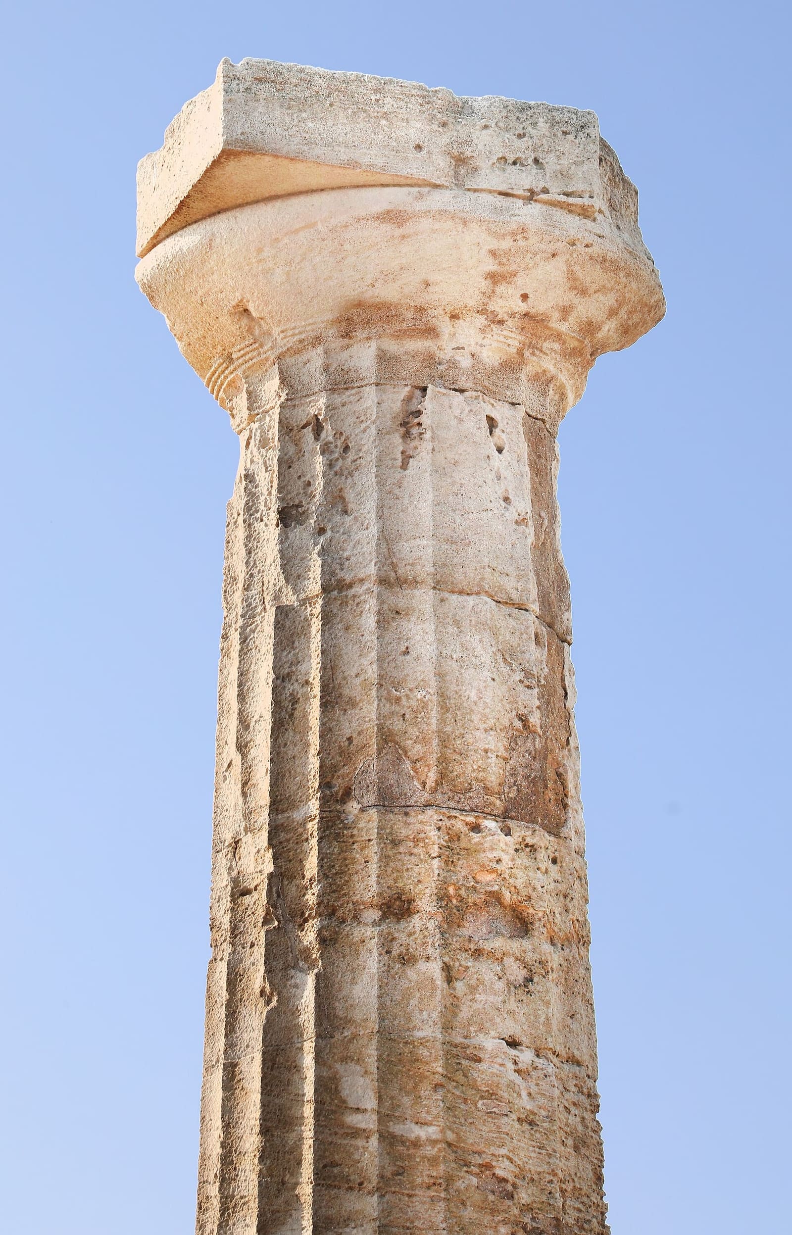 le chapiteau dorique au sommet de la colonne