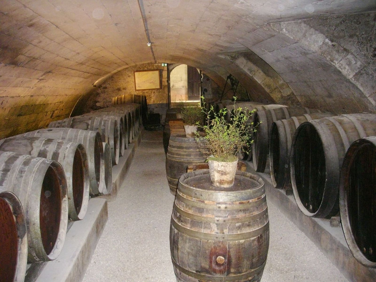 Fässer im Cave des Dômes, dem Weinkeller des Schlosses