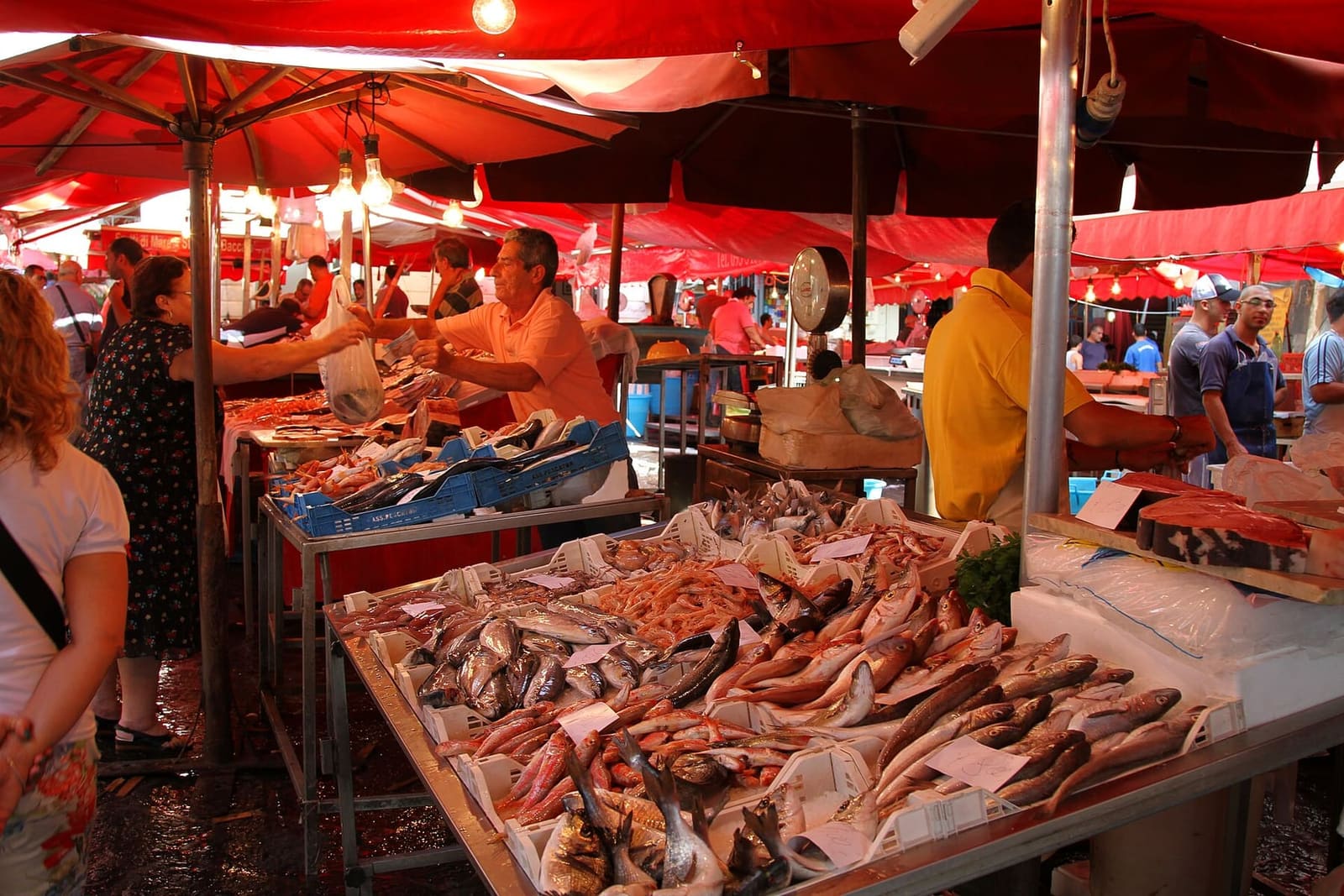 i banchi del pesce della Pescheria sotto gli ombrelloni rossi