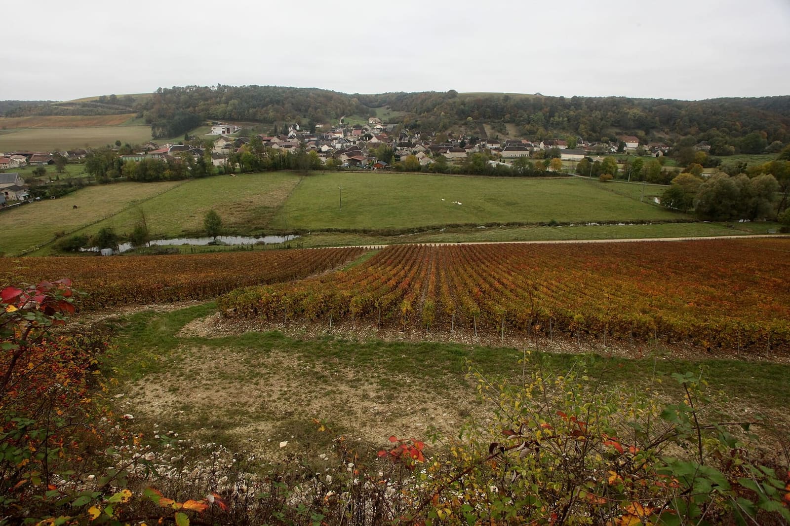 les rangs de vigne rouges d'automne au-dessus de Spoy, sur la Côte des Bar vers Bar-sur-Aube, avec le village au fond
