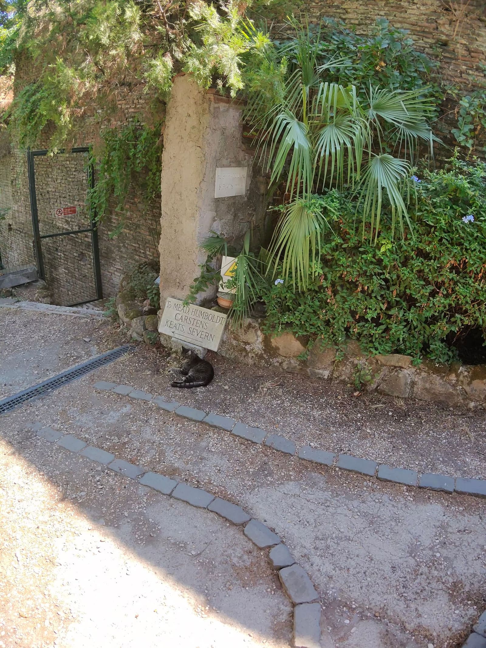 un gatto addormentato ai piedi del cartello di legno che indica le tombe di Mead, Humboldt, Carstens, Keats e Severn