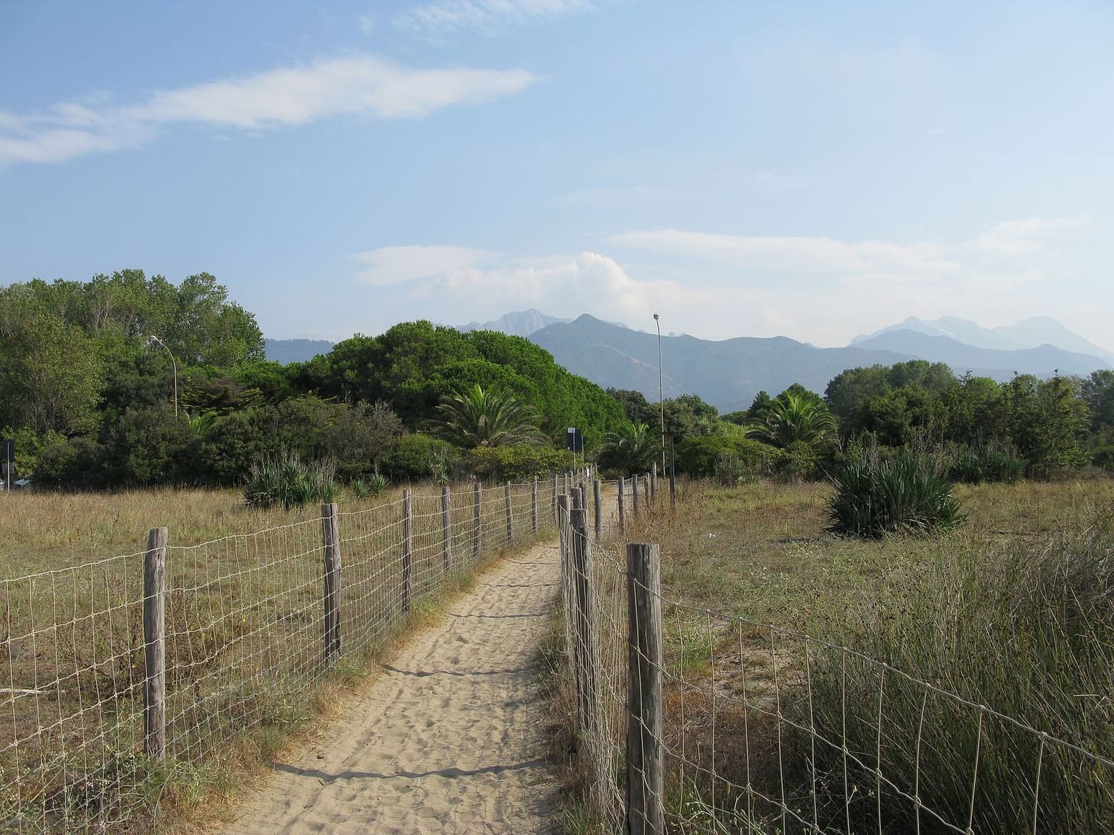 le passage clôturé qui traverse l'oasis des dunes de Forte dei Marmi
