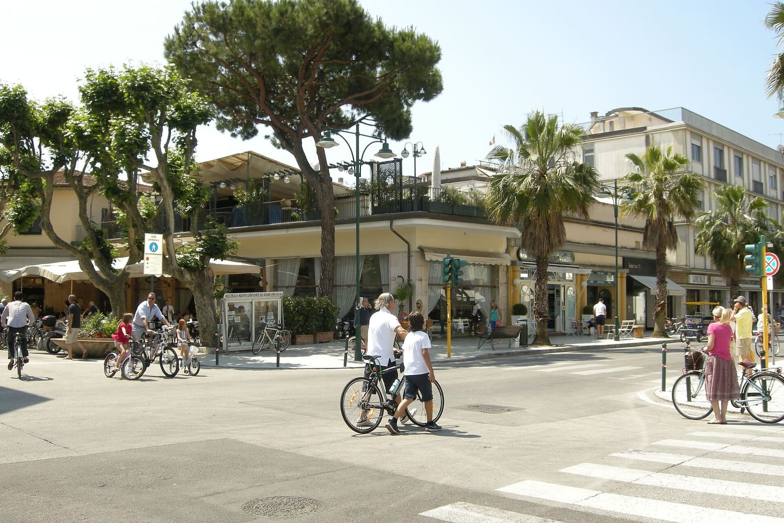des vélos entre les pins et les palmiers de Forte dei Marmi
