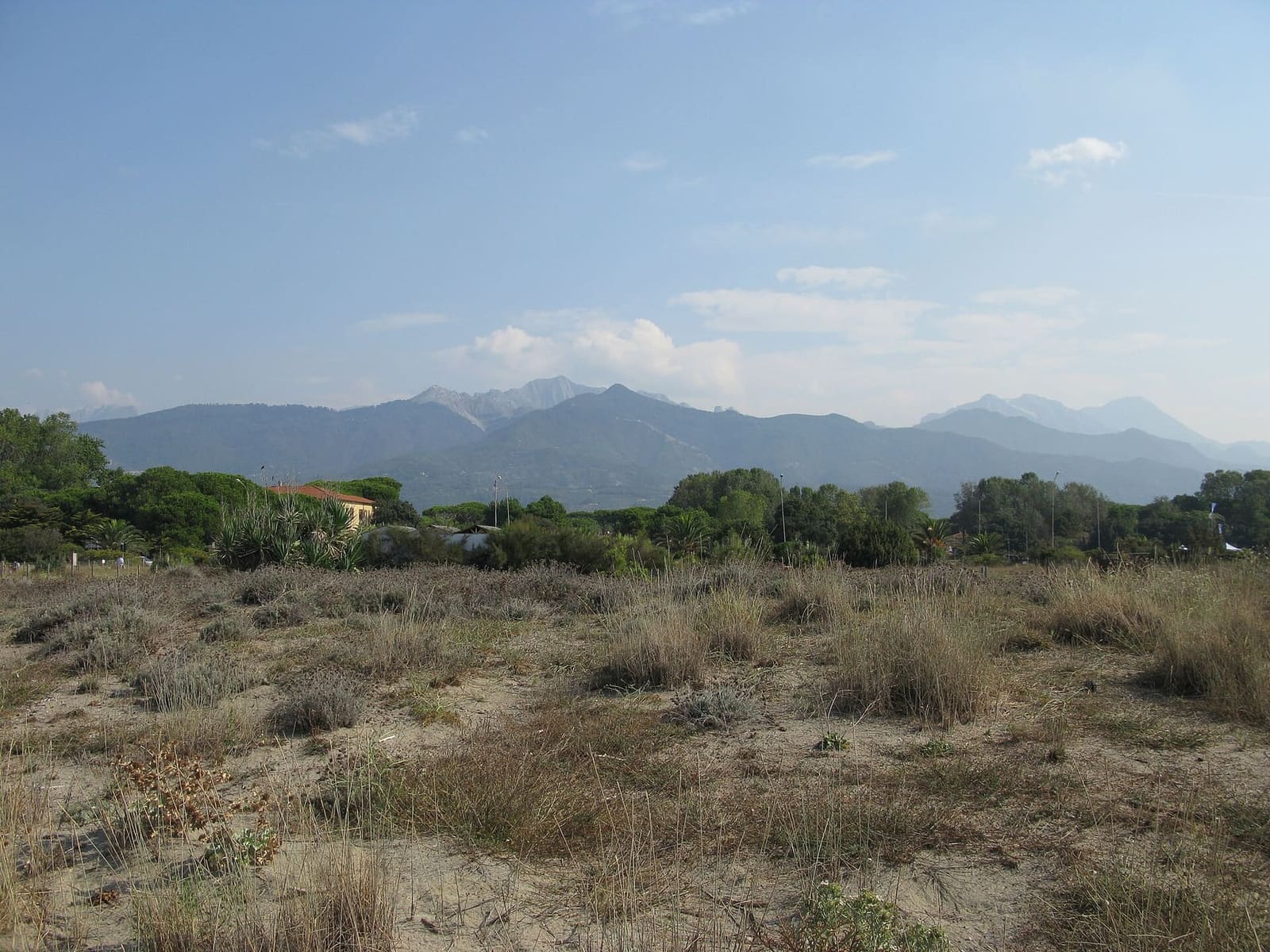 les Alpes apuanes vues des dunes de Forte dei Marmi