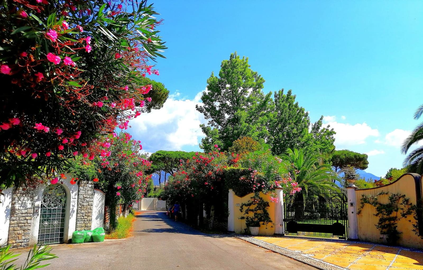 une rue de villas avec jardin et lauriers-roses dans l'intérieur de Forte dei Marmi