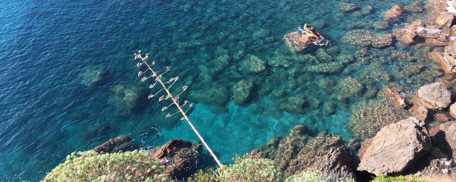 l'acqua trasparente sugli scogli sommersi, vista dal sentiero a strapiombo