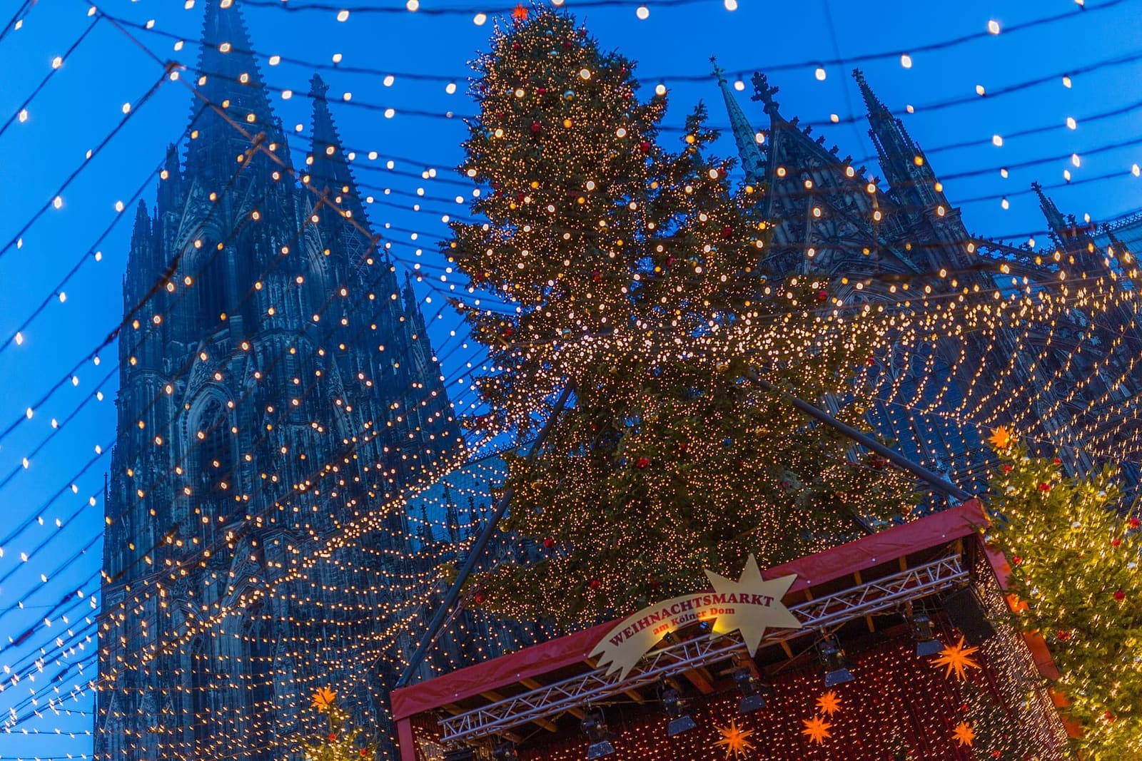 der Weihnachtsmarkt auf dem Roncalliplatz zur blauen Stunde, mit dem großen Baum und dem Lichterdach vor dem Dom