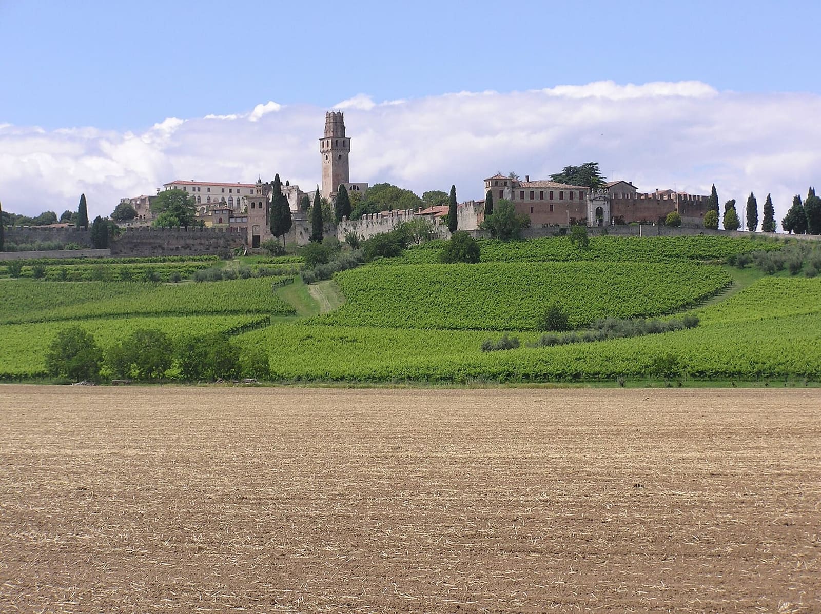 il castello di San Salvatore sul colle di Susegana, visto dal lato sud