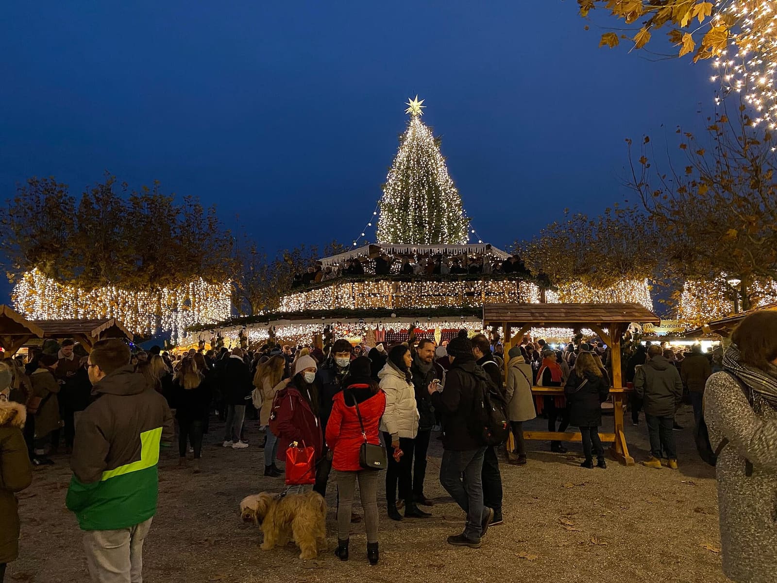 il mercatino di Natale nello Stadtgarten la sera, con il grande albero illuminato in mezzo alle casette