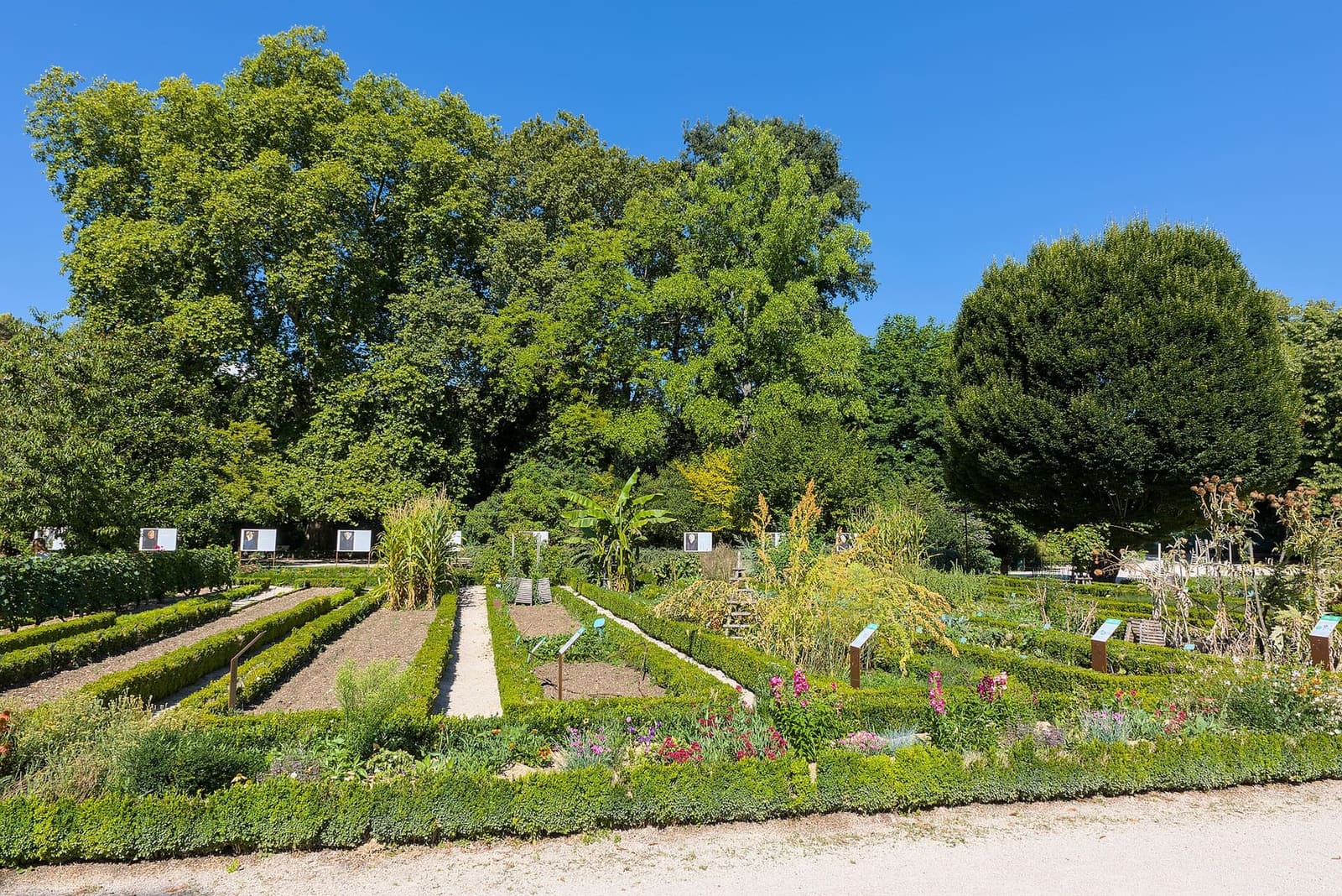 le aiuole del giardino botanico dell'Arquebuse, d'estate