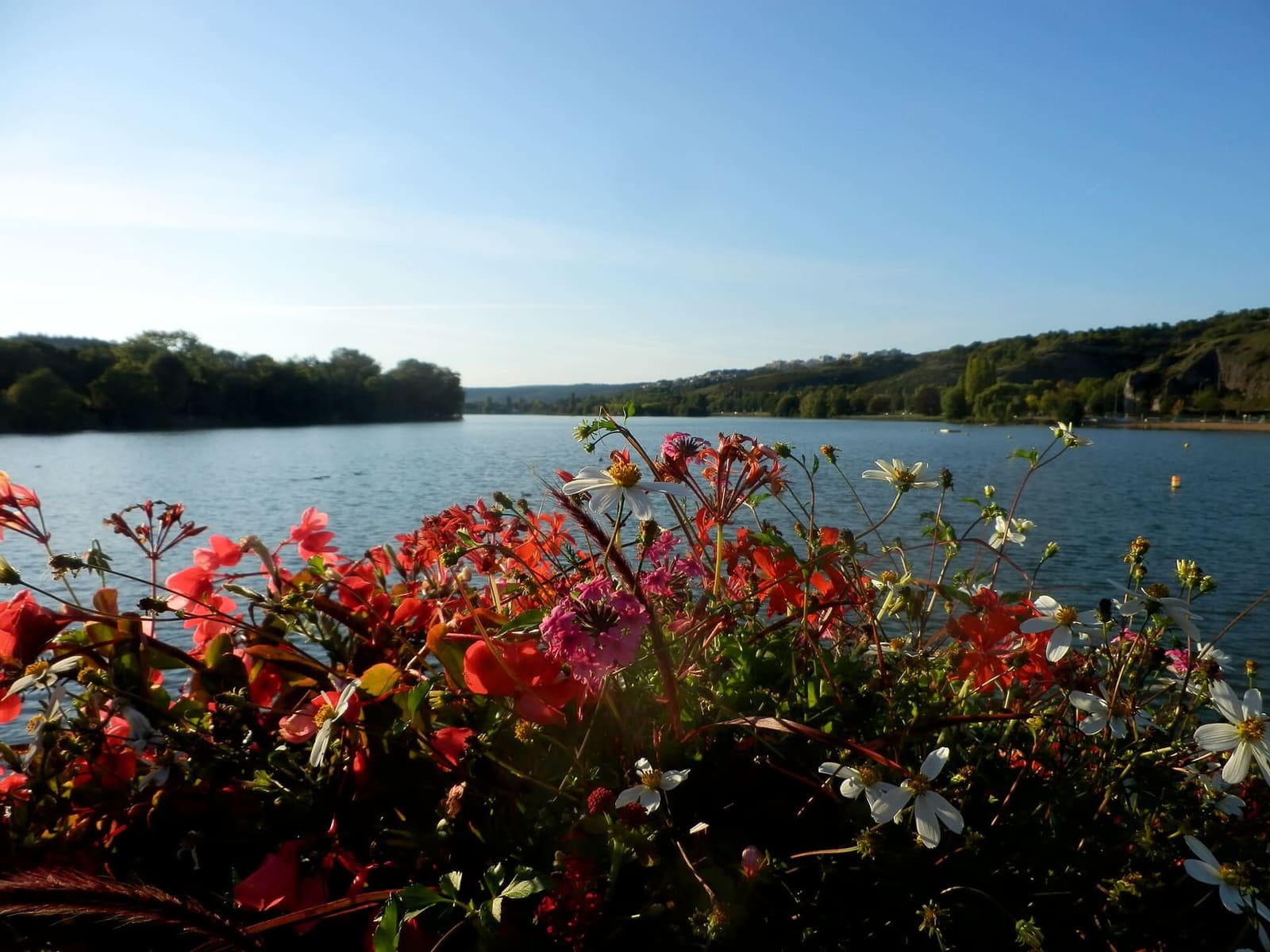 il lago Kir visto dalla riva est, con i fiori in primo piano