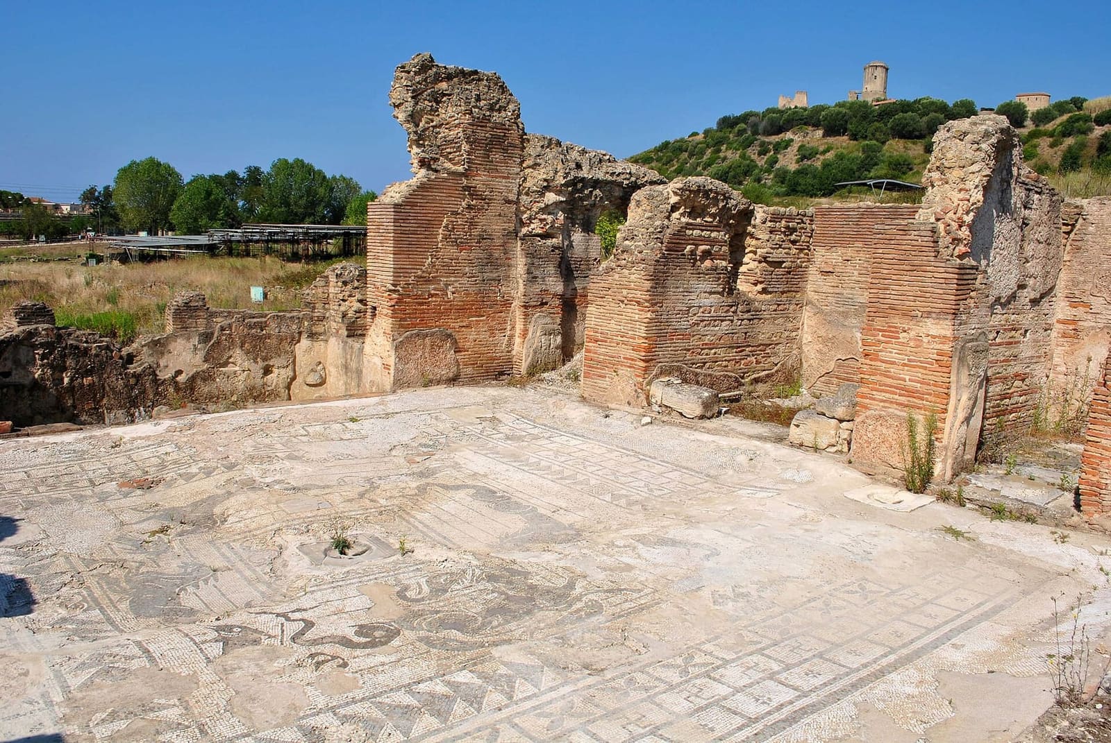 il pavimento a mosaico delle terme del quartiere meridionale fra i muri di mattoni