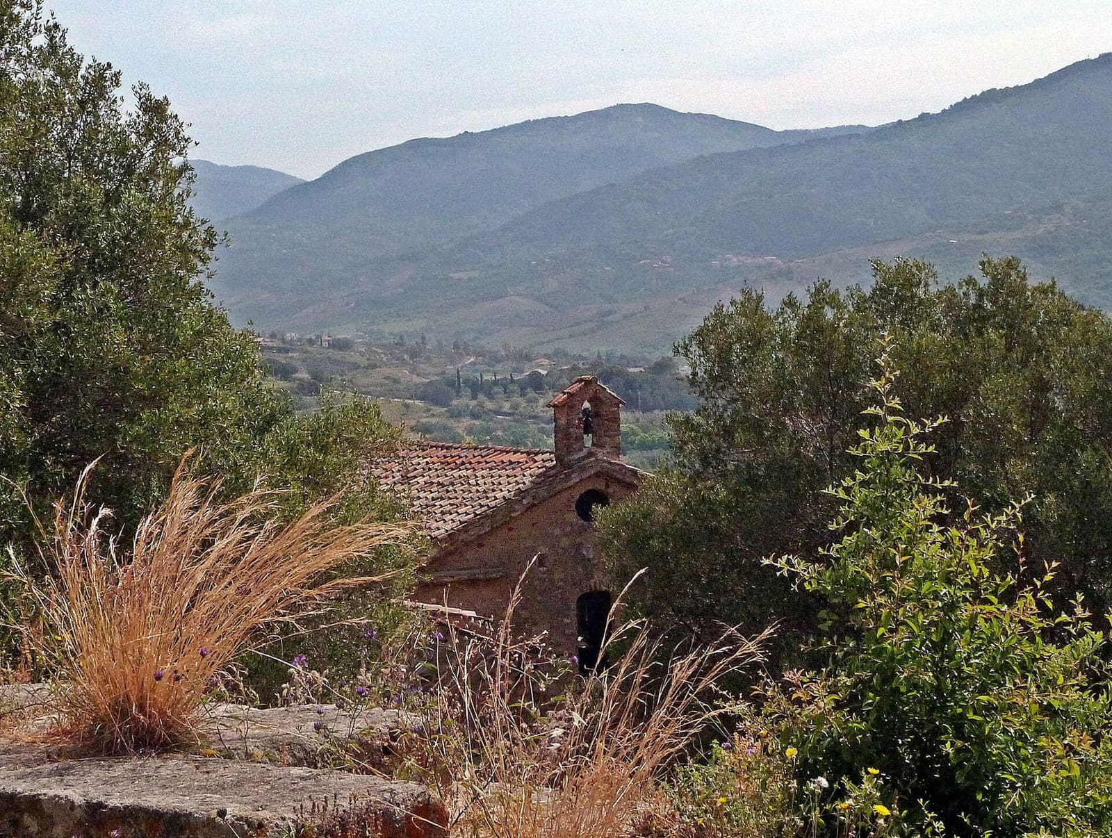 il tetto della chiesa di Santa Maria di Portosalvo fra la macchia, con i monti dietro