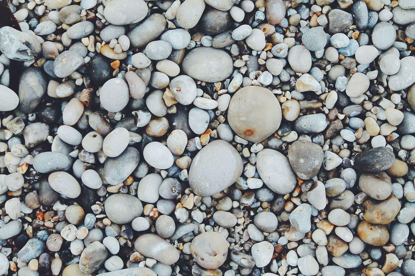 die Feuersteinkiesel des Strandes, aus der Nähe