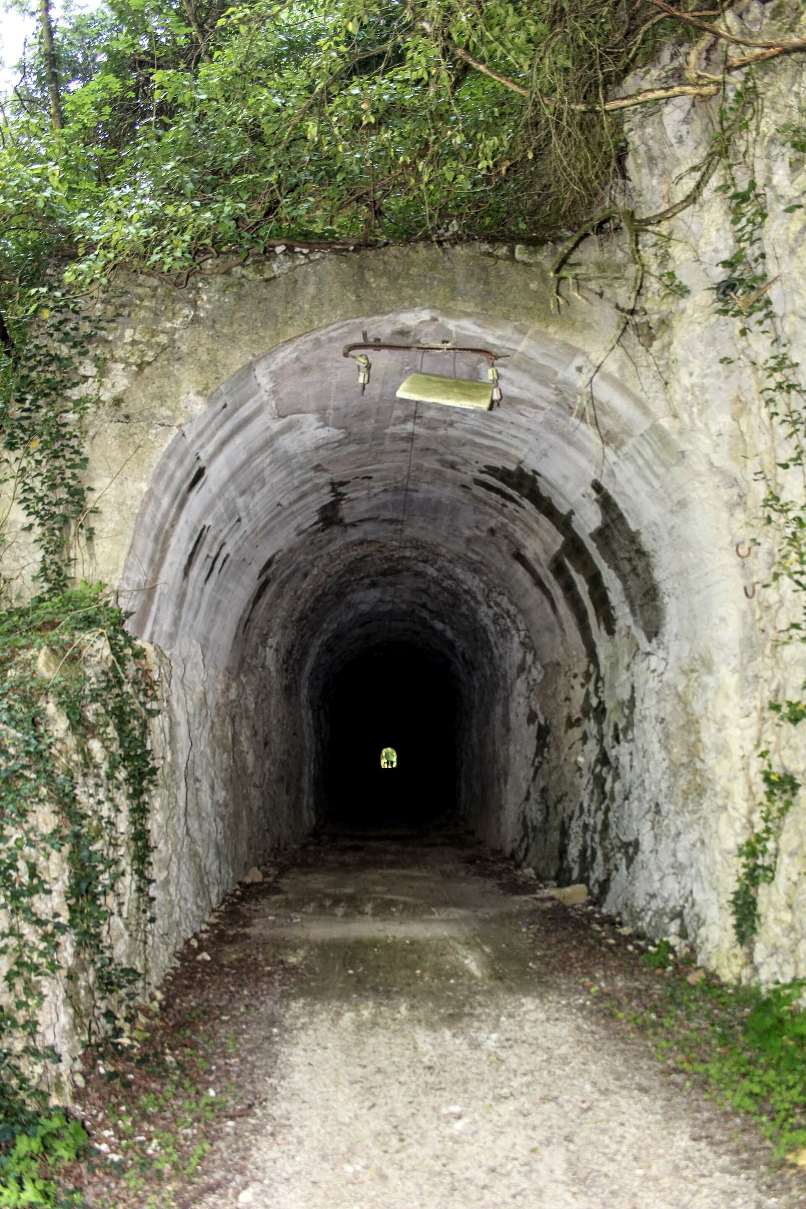 l'imbocco di una galleria della ferrovia coperto di edera alle gole di Biselli, verso Norcia