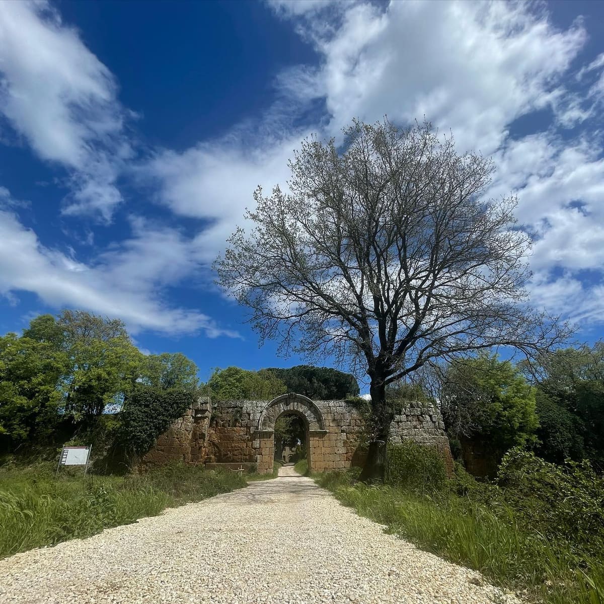 la Porta di Giove dalla strada bianca che ci arriva davanti: il fornice fra i blocchi di tufo rosso, e il pannello del sito appoggiato nell'erba a sinistra