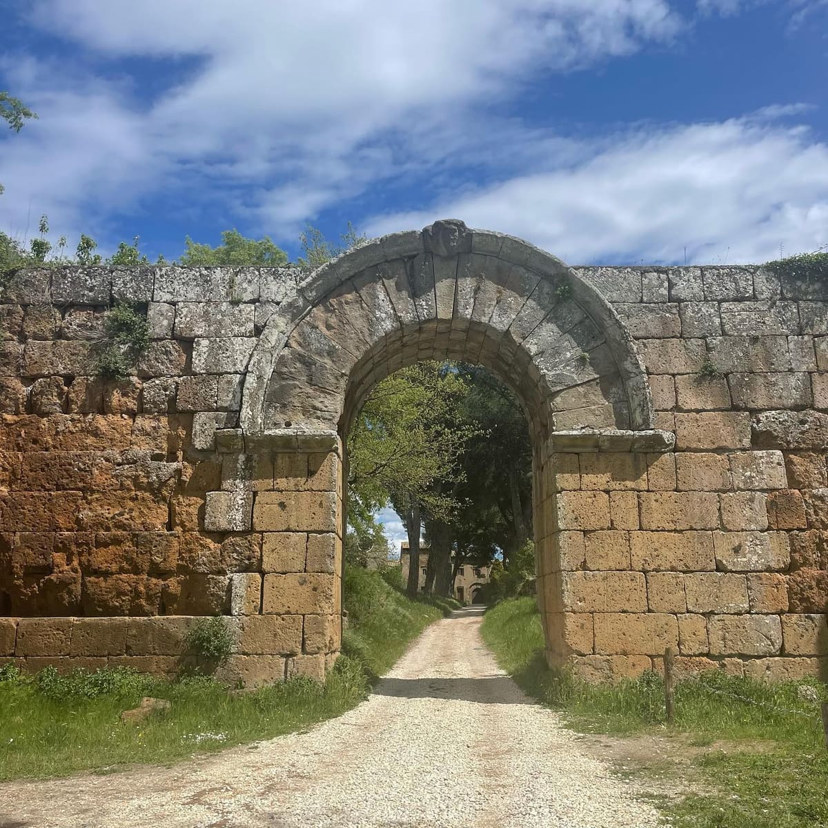 la Porta di Giove di fronte, con la mensola di trabeazione sui piedritti e la cortina di blocchi squadrati che le corre ai lati; sotto l'arco il viale di pini e in fondo l'abbazia