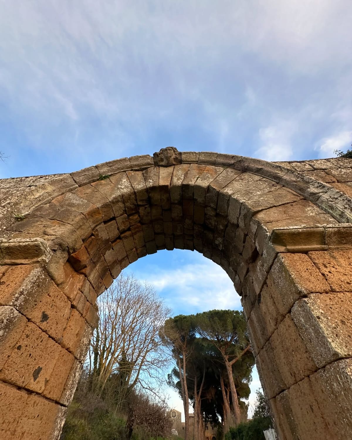 la testa di Giove sulla chiave dell'arco, guardata dal basso: è il dettaglio che dà il nome alla porta, e da terra non si vede se non ci si mette sotto