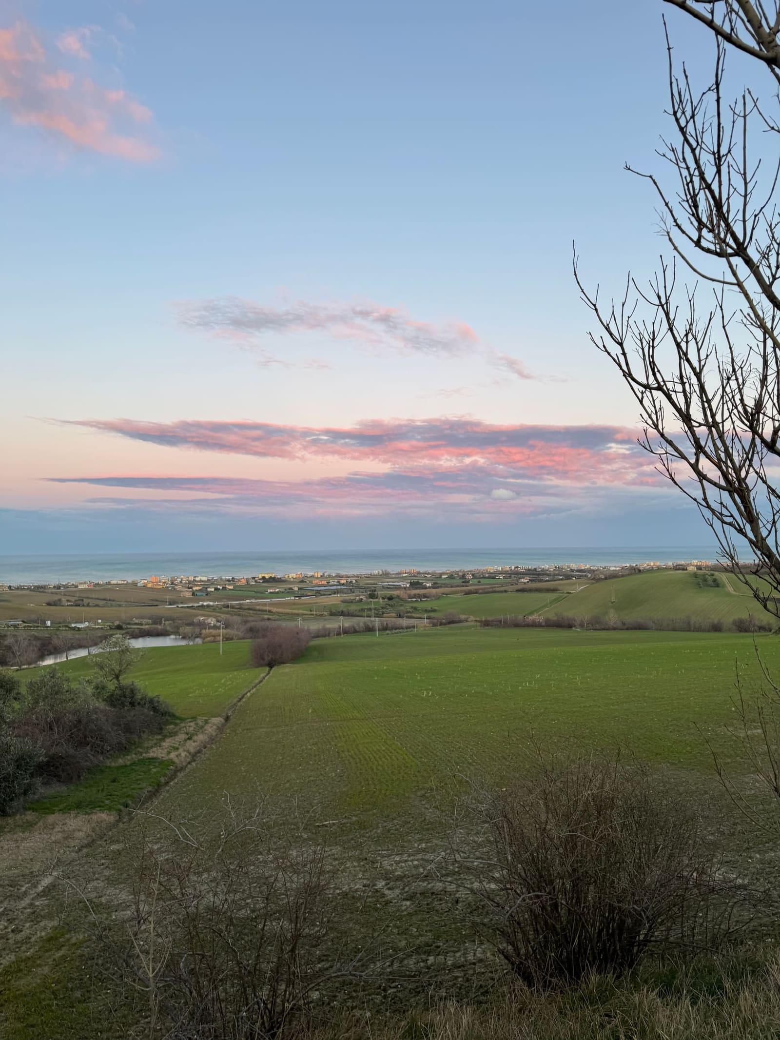 la campagna intorno a Fano che scende verso il mare, una sera
