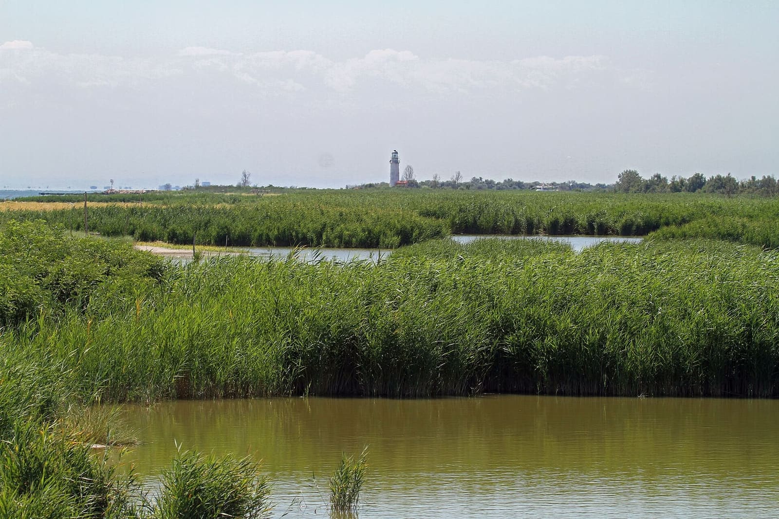 il faro di Goro in fondo alle lagune e ai canneti fra il Po di Goro e il Po di Gnocca