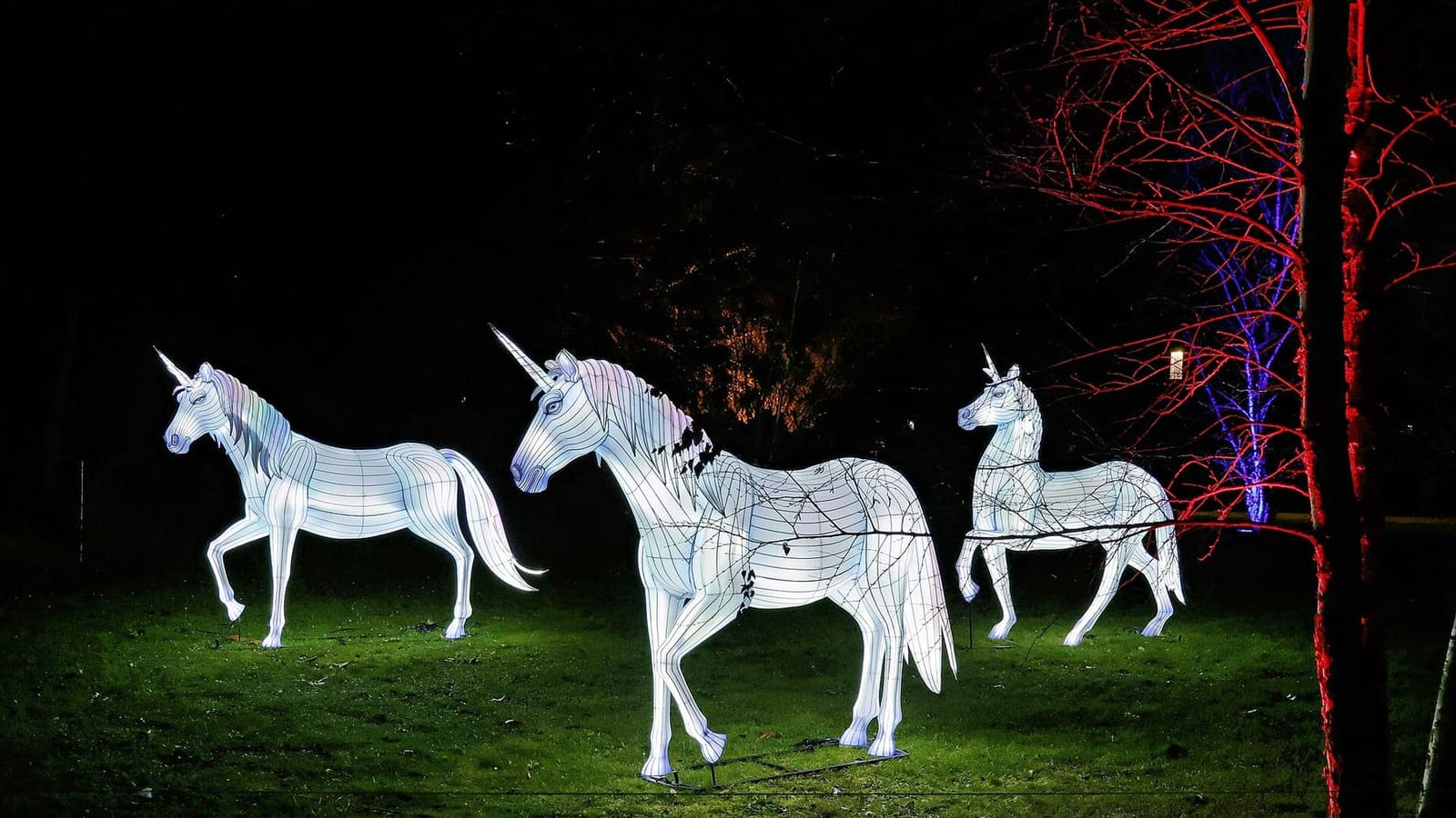 gli unicorni luminosi delle Winterlichter, il percorso di luci delle sere d'inverno nel Palmengarten