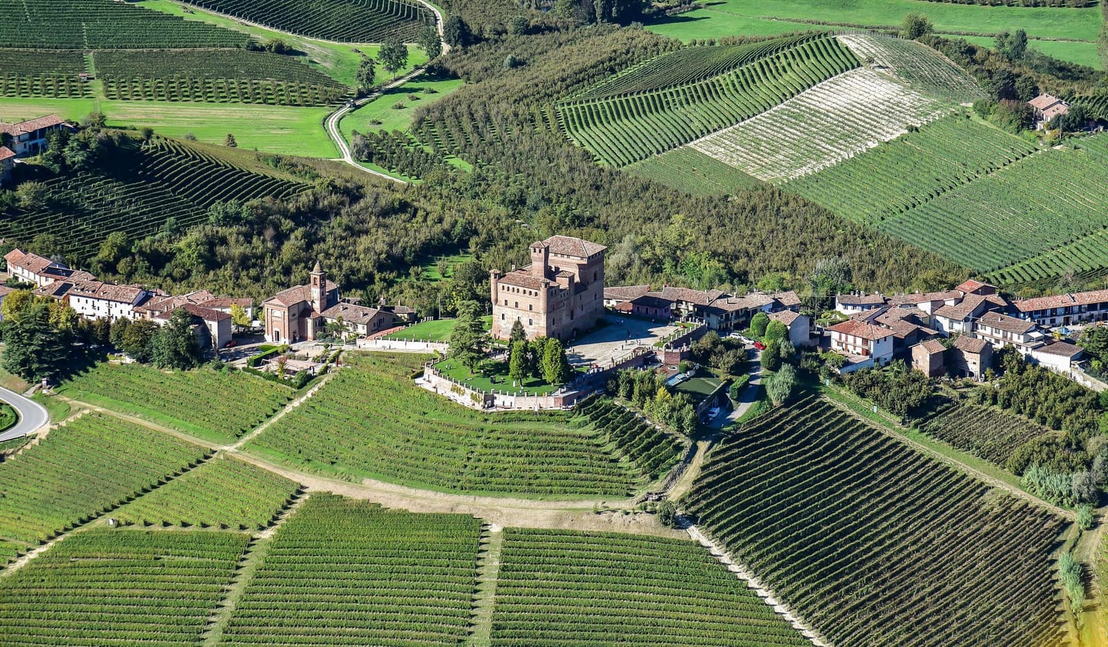 Grinzane dall'alto, il castello con la chiesa del Carmine accanto e le case del borgo in mezzo alle vigne