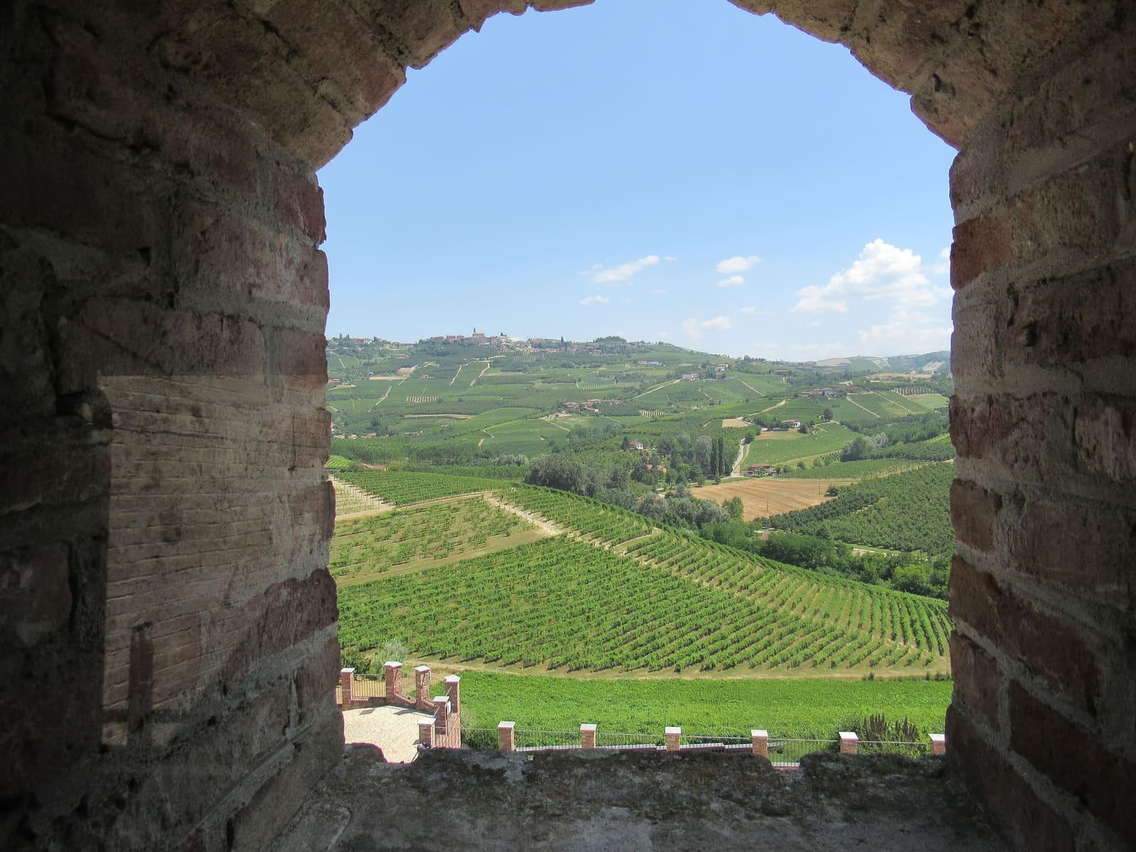 le vigne delle Langhe da una finestra del castello