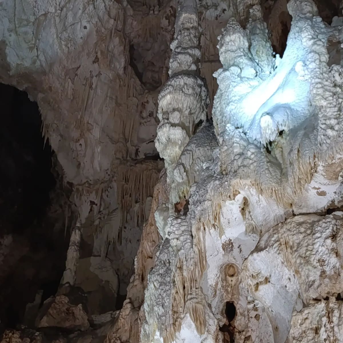 le concrezioni a cavolfiore, quelle che crescono a bolle invece che a punta, illuminate di bianco accanto al buio