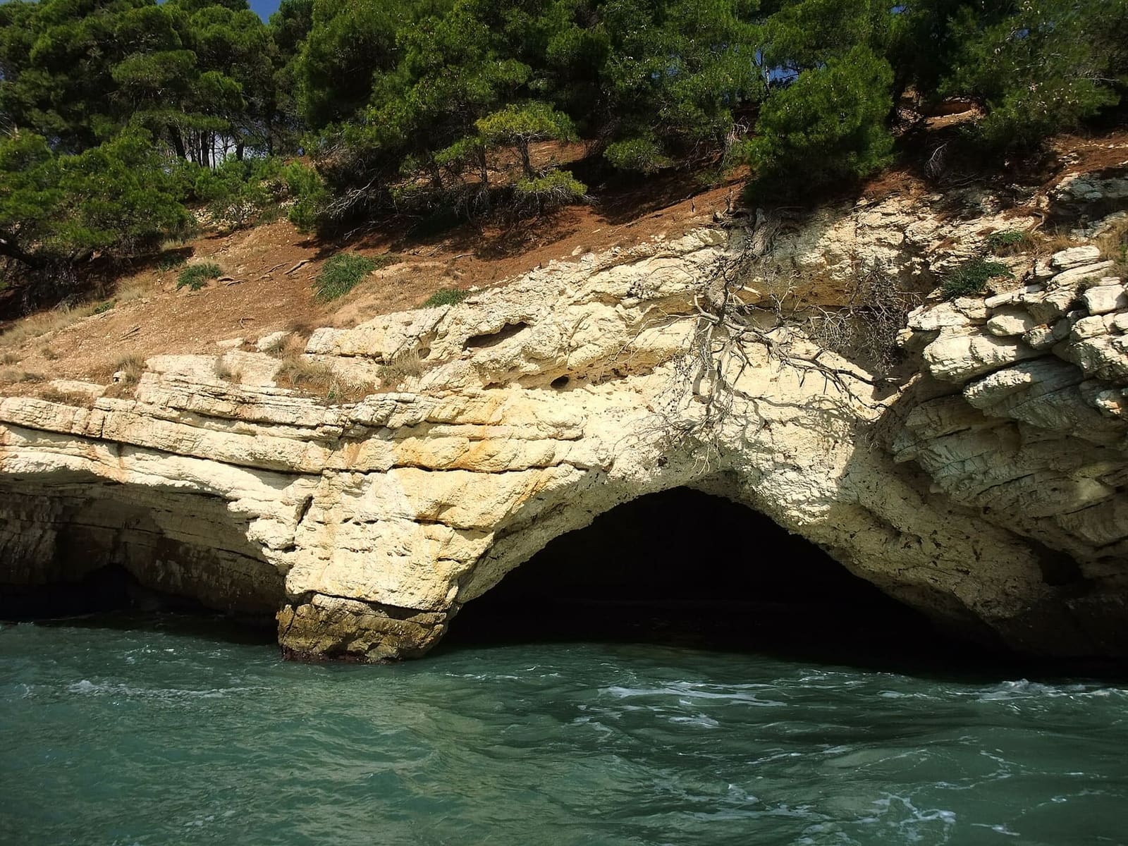 die niedrige Öffnung einer Grotte, knapp über dem Wasser unter der Macchia