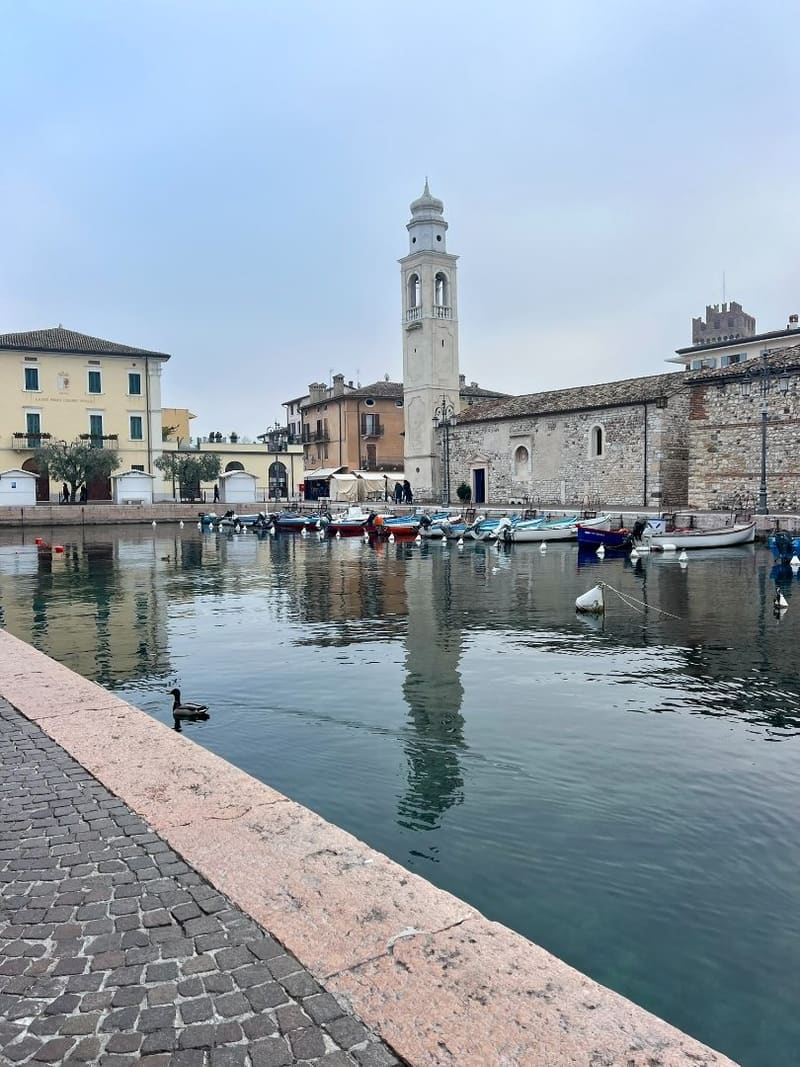 le barche ormeggiate nel porto vecchio, il campanile bianco e un germano sull'acqua ferma
