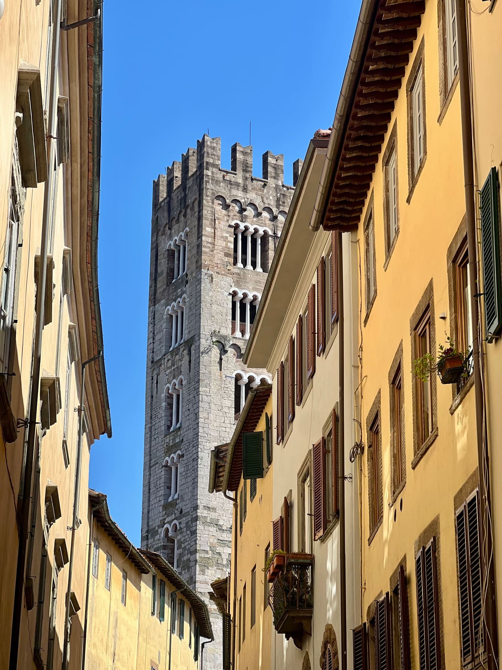 il campanile di San Frediano che spunta fra le case gialle