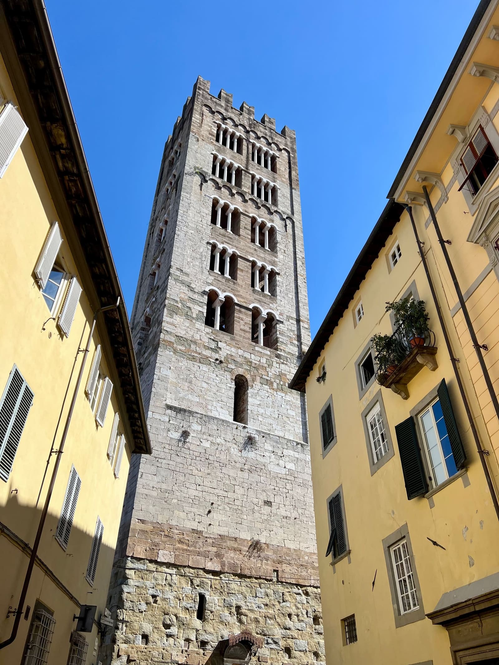 il campanile di San Frediano visto dalla strada, più da vicino