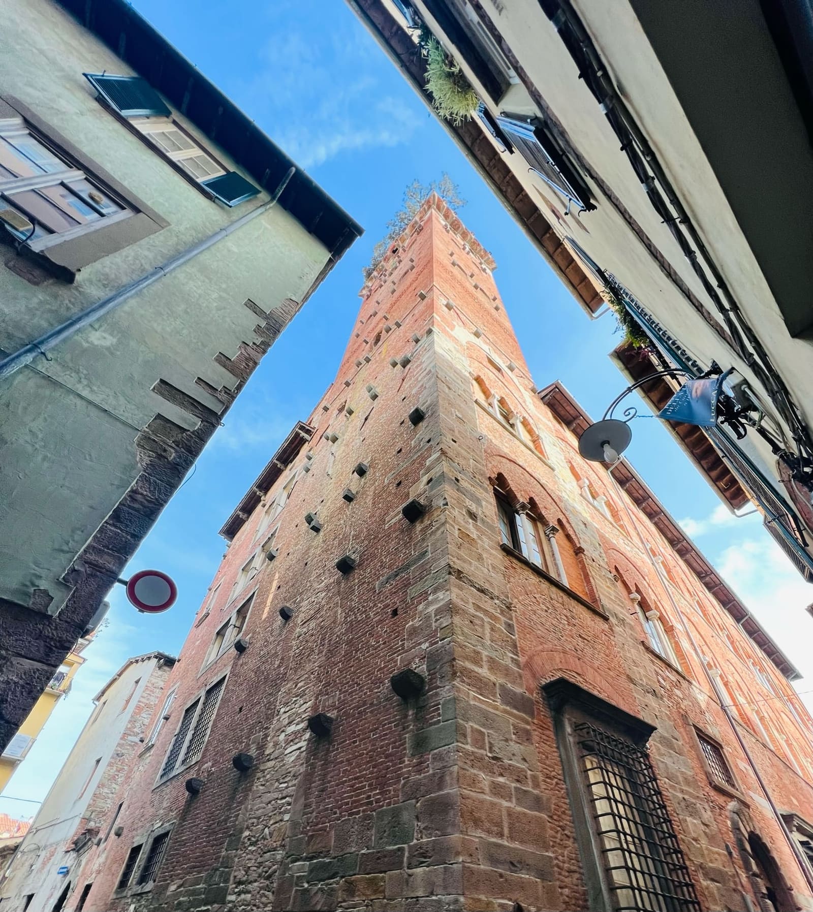 la Torre Guinigi vista da sotto, i mattoni fra le case di via Sant'Andrea