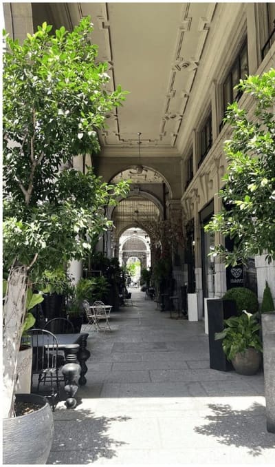 il portico del centro con gli alberi in vaso e i tavolini dei caffè