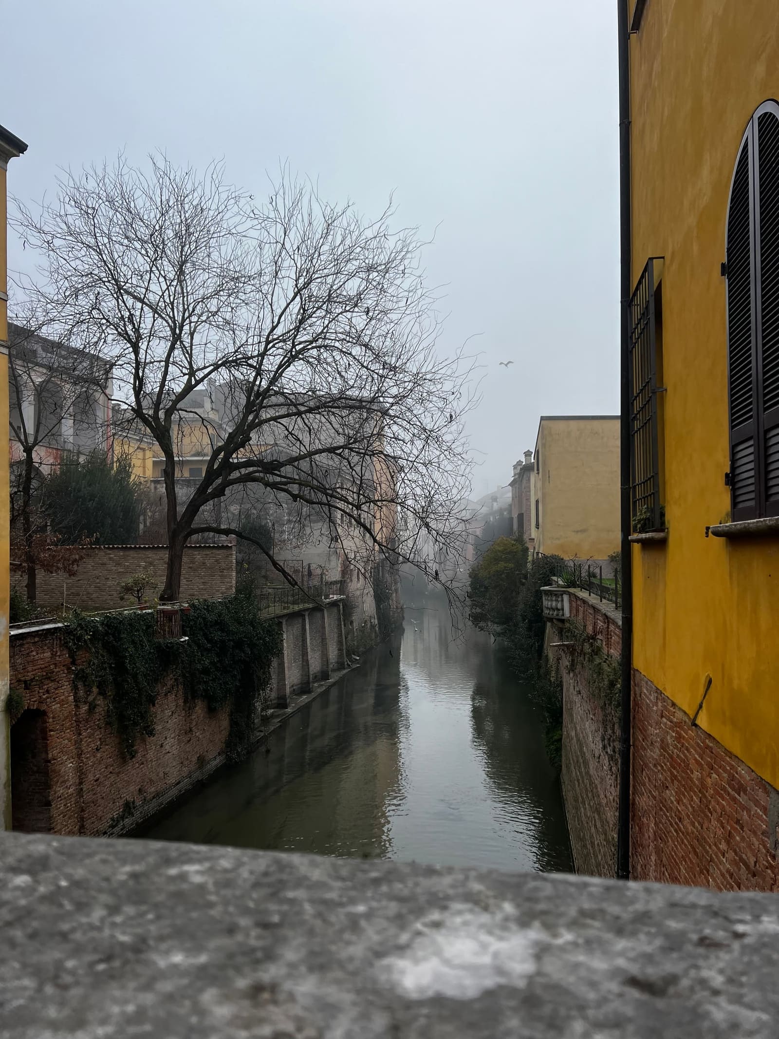 il Rio fra le case del centro, l'acqua ferma e la nebbia in fondo al canale