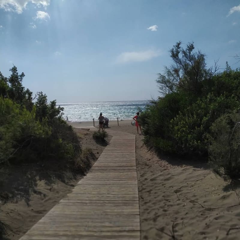 la passerella di legno scavalca la duna e sbuca sulla spiaggia
