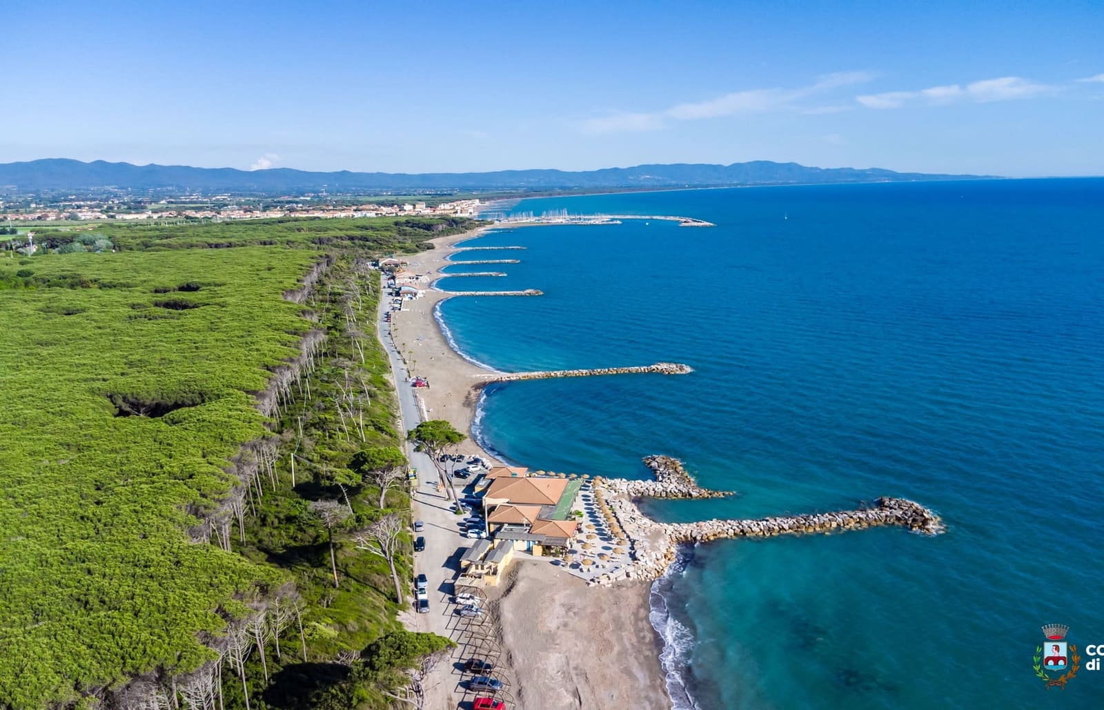 la pineta, i pennelli di scogli e la spiaggia fino al porto turistico