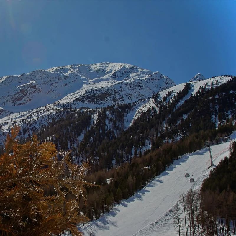 la pista che scende fra i larici con gli ovetti della cabinovia in movimento
