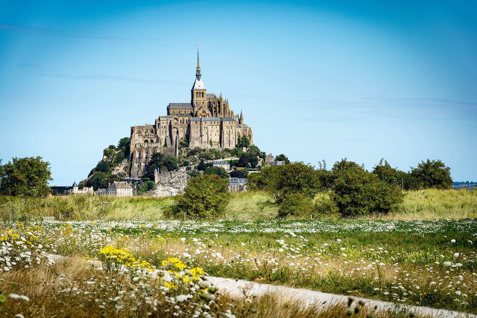 il Mont-Saint-Michel dietro un prato di fiori bianchi e gialli, sotto il cielo blu