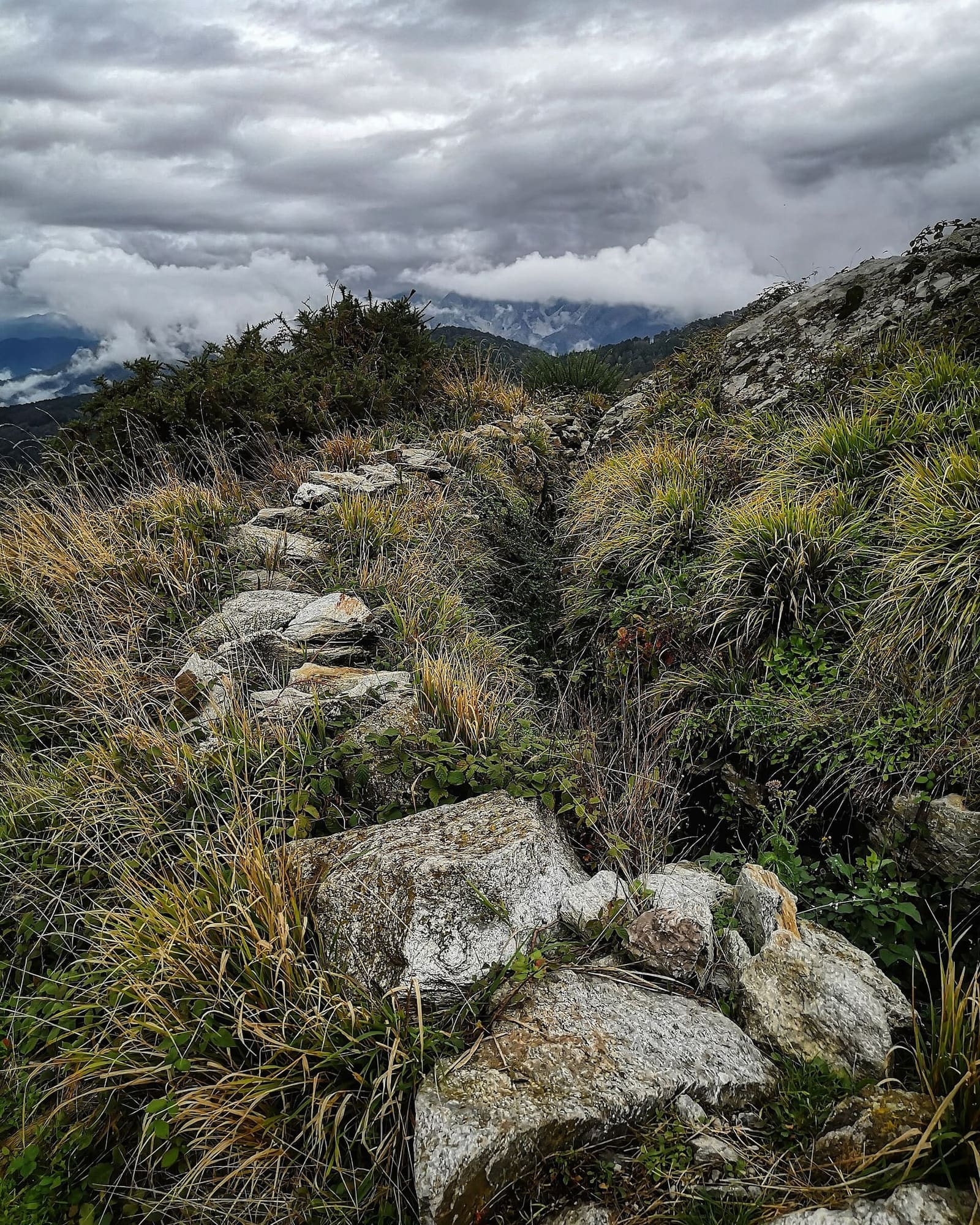 die Reste eines Schützengrabens der Gotenstellung auf dem Monte Folgorito