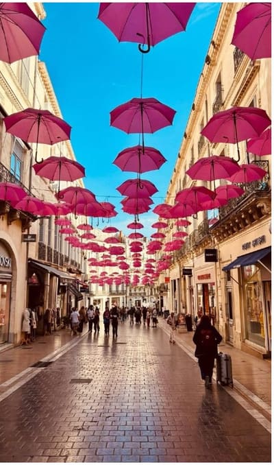 gli ombrelli rosa sospesi sopra una via dello shopping, nell'Écusson